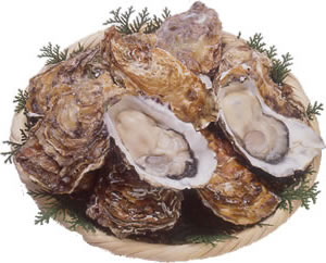 広島県の生牡蠣